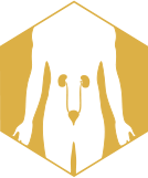 BenefitsIcon3