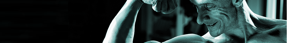 Header-Banner